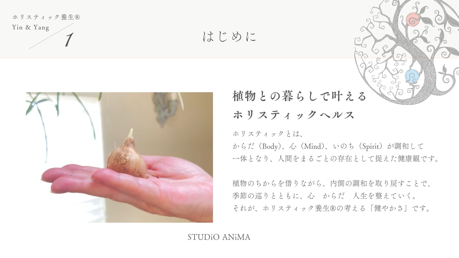 LP画像2
