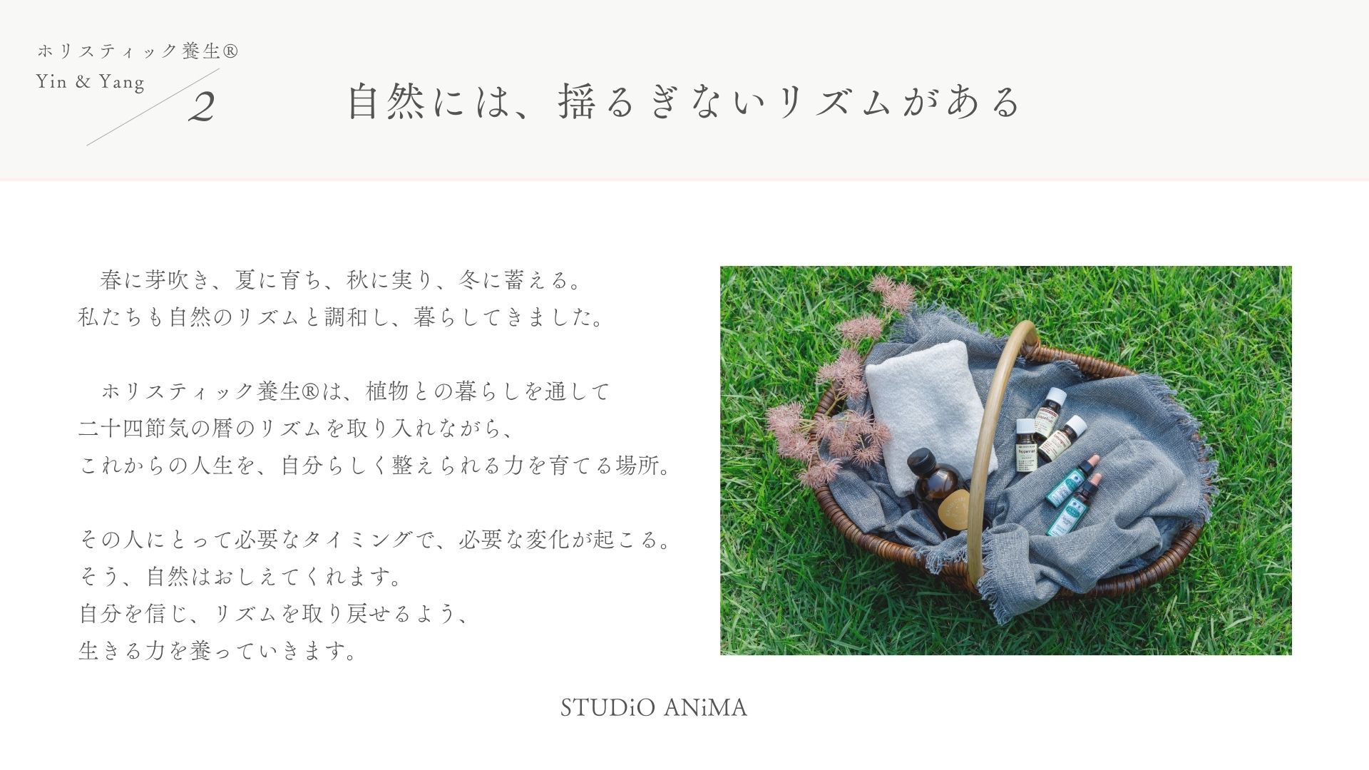 LP画像3