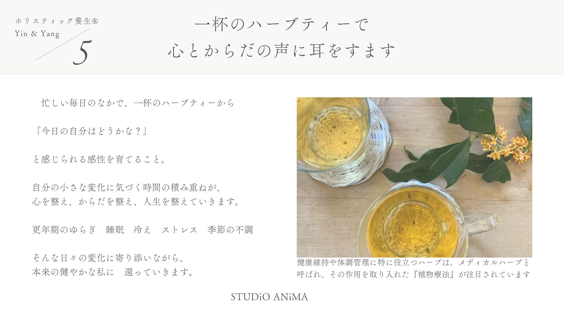 LP画像6