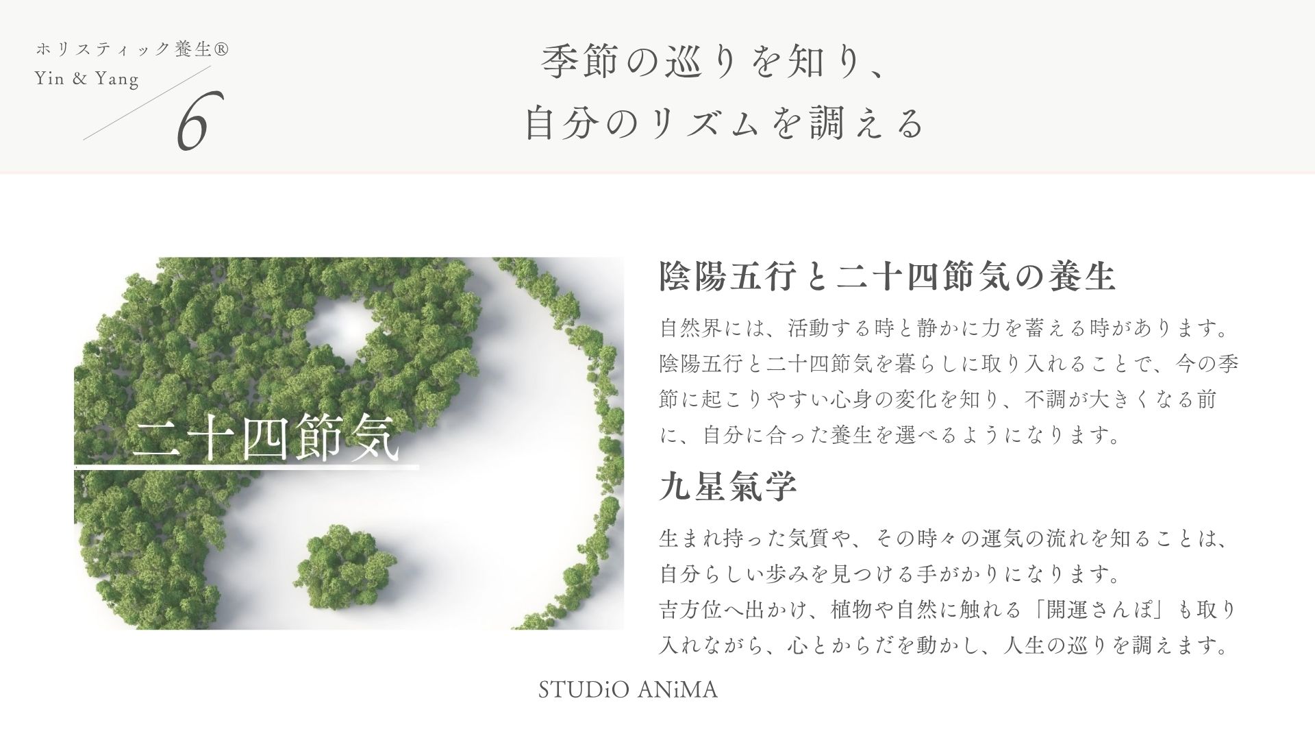 LP画像7
